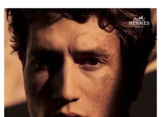 Hermes Perfume: The Ultimate Luxury Fragrance Guide for 2026