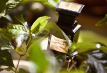 Skin Scent Meaning The Secret of Perfumes That Stay Close to Your Skin