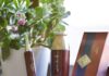 Korean Red Ginseng Emulsion Anti Aging Real Experience YEZIHU Review red ginseng skincare benefits
