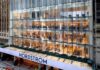 Does Nordstrom Give Free Perfume Samples in 2026? Complete Fragrance Guide Best Free Perfume Samples at Department Stores