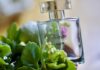 Best Affordable Skin Scent Perfumes That Smell Expensive (Real Experience)