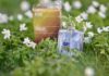 What Does a Skin Scent Perfume Smell Like. Pure Passion in Molecule 02 by Escentric Molecules