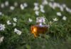 A final ball or a kaleidoscope of desires with Lancome La Vie Est Belle