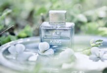 King of Seduction by Antonio Banderas on Skin: Marine Spices, Clean Masculine Desire and Hidden Sweetness clean masculine skin scent