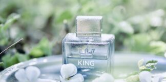 King of Seduction by Antonio Banderas on Skin: Marine Spices, Clean Masculine Desire and Hidden Sweetness clean masculine skin scent